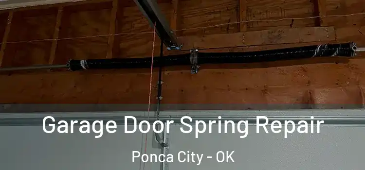  Garage Door Spring Repair Ponca City - OK